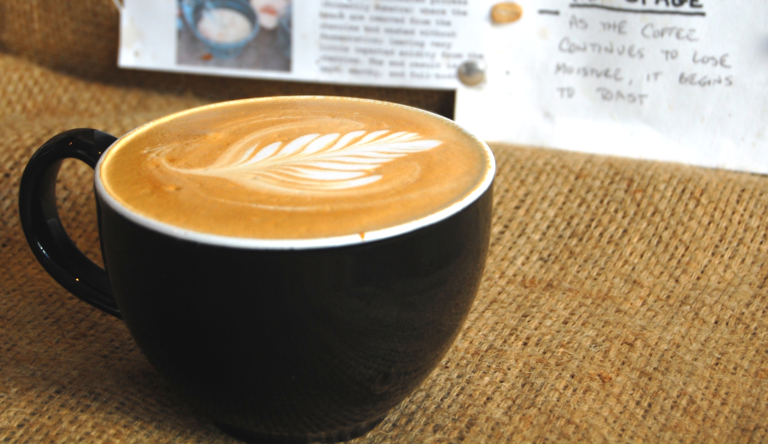 Cool Beans Coffee Supply Atlanta