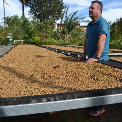 Costa Rica- Del Poas Black Honey